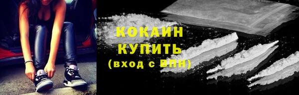 крисы Каменка