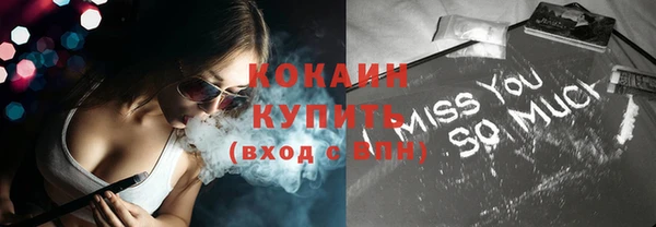 крисы Каменка