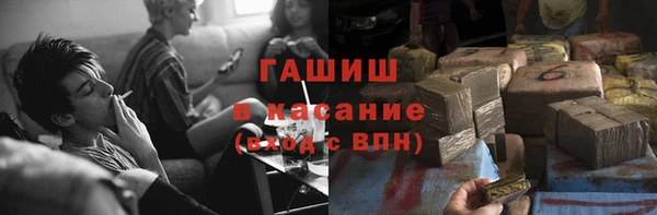 крисы Каменка