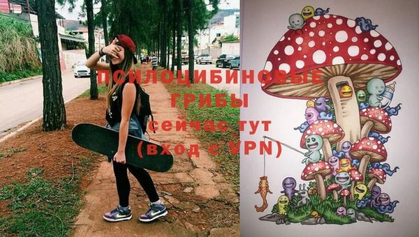 ECSTASY Инсар