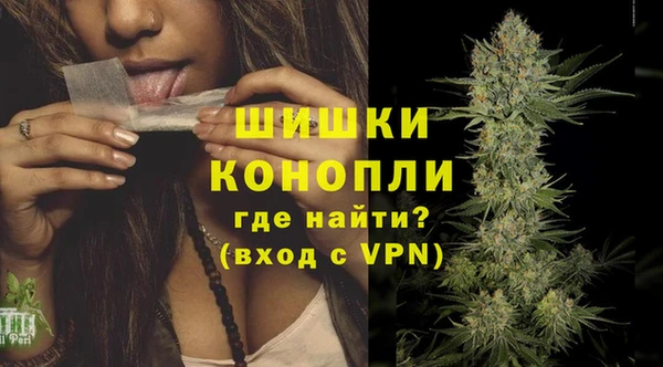 крисы Каменка