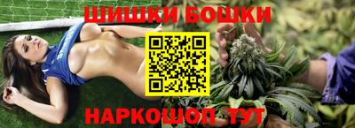 шишки Аргун