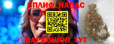 шишки Аргун