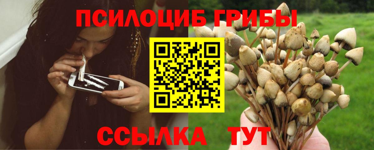 Галлюциногенные грибы Magic Shrooms Сердобск
