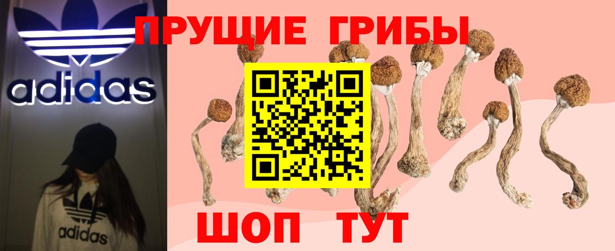 Сердобск  Галлюциногенные грибы мухоморы  Вход с VPN  Псилоцибиновые грибы Psilocybine cubensis 