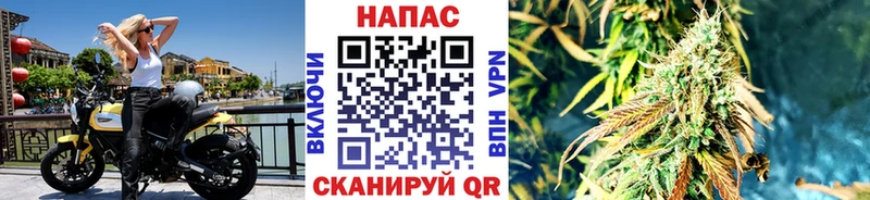 площадка официальный сайт  mega ССЫЛКА  Сердобск  магазин  наркотиков  Бошки Шишки OG Kush 